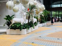 -新白鹿餐厅(松江开元地中海店)