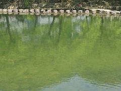 -鹿亭中村