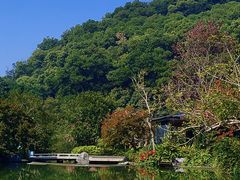 -云溪植物园