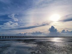 -宝安西湾红树林湿地公园