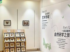 -深圳龙华星河COCO City(民治店)