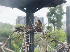 -武汉动物园