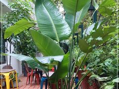 -BOCATA 西班牙餐厅(三里屯店)