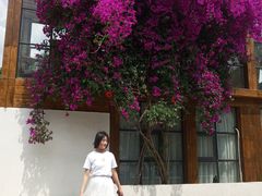 -三圣花乡旅游区