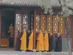 -洛阳白马寺