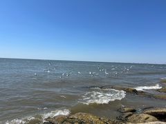 -老虎石海上公园