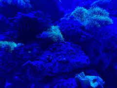 -上和臻品中国菜(花园街店)