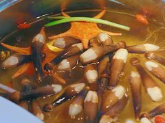 黑鸡枞菌-千岛蚝高压锅生蚝·人参火锅(白云万达店)