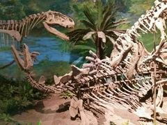 -自贡恐龙博物馆