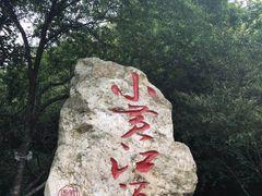-永州阳明山国家森林公园