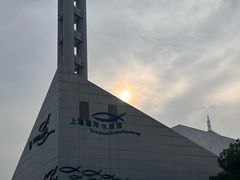-上海海洋水族馆