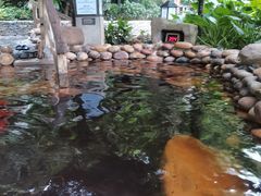 -融汇温泉
