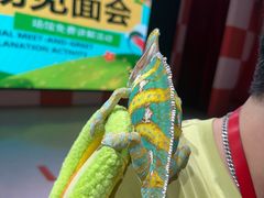 -上海大自然野生昆虫馆(东方明珠·爬宠昆虫探索中心)