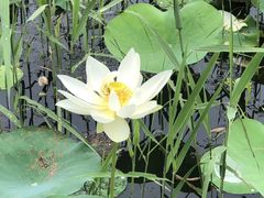 -陶辛水韵