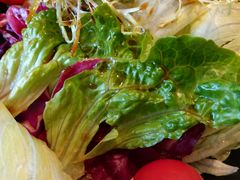 大拌菜-香融府·烤鸭·家常菜(花乡奥莱店)