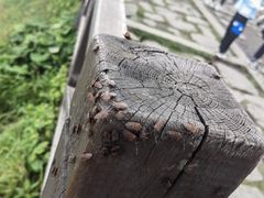 -萍乡武功山风景名胜区