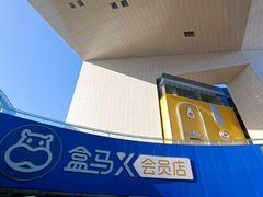 -盒马X会员店(王府井奥莱UP TOWN店)