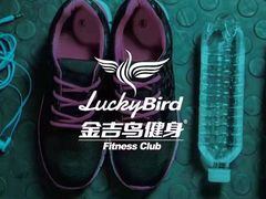 -金吉鸟健身游泳