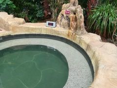 -悦隆庄温泉度假酒店