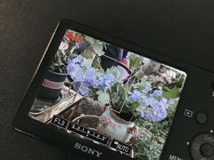 -Golden Lily河内巴黎法越料理餐厅(建国西路店)