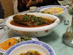 -老雒阳面馆·水席·洛阳菜(王城路店)