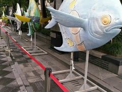 -运河游船(武林门码头)