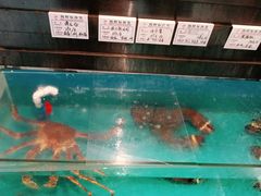-中苑海韵