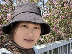 -新疆红山干果市场
