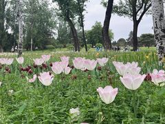 -国家植物园南园