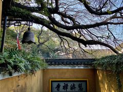 -普陀山慧济禅寺