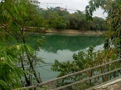 -夏黑子坛子鱼(总店)