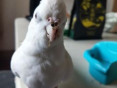 -织荆鸟咖啡(昌平店)