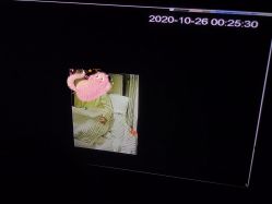 -星摇篮月子中心(市妇幼店)