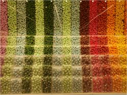 -THE COLORIST调色师