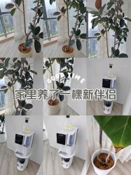 -HEYAN荷妍专业脱毛连锁机构