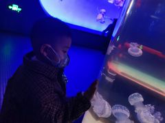 -青岛海底世界-水族馆