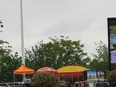 -盐城丹顶鹤湿地生态旅游区