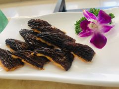 -墨脱石锅椰子鸡•香草鸭•东山羊(大东海店)