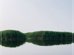 -白洋淀景区