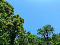 -方岩风景区