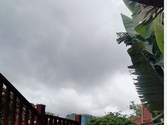 -宝安西湾红树林湿地公园