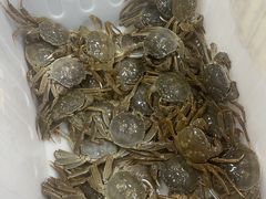 -祥鹤龙虾螃蟹