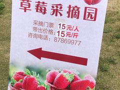 -米果果小镇