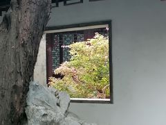 -秋霞圃