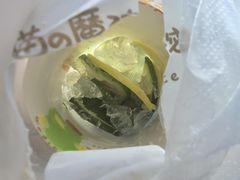 -猫的魔法密林(衣裳街店)