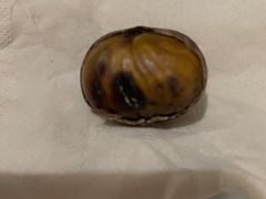-好好栗子店(海宁总店)