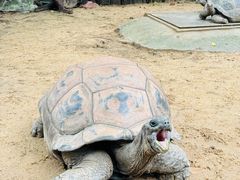 -广州长隆飞鸟乐园