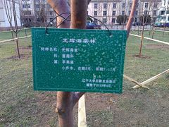-辽宁大学(崇山校区)