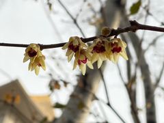 -丰台花园
