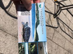-广东惠东海龟国家级自然保护区